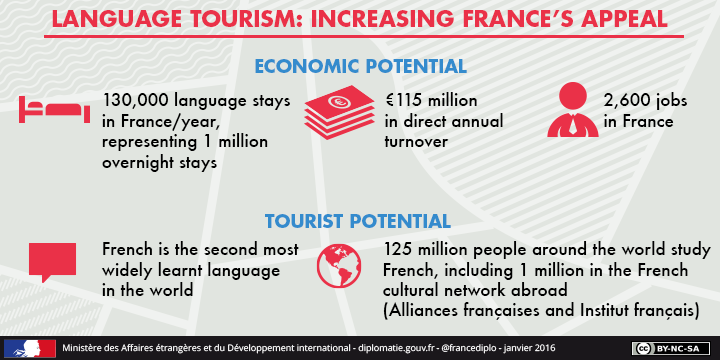 immersion_france_en_chiffres
