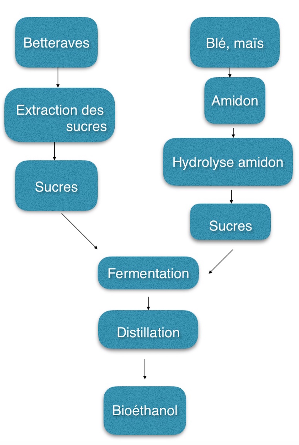 biodiesel_aviation_écotourisme_écologie
