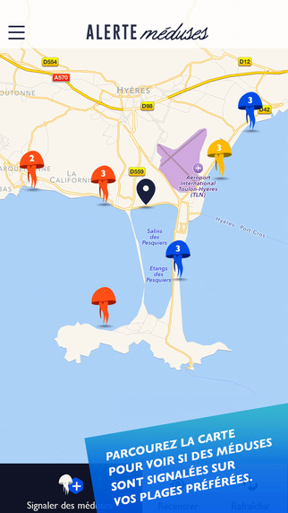 application_alerte meduses