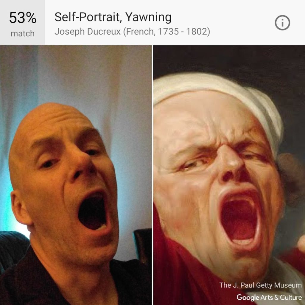 Google Arts & Culture trouve le sosie artistique de son utilisateur