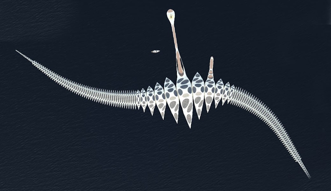 morphotel_tourisme_futur_bateau