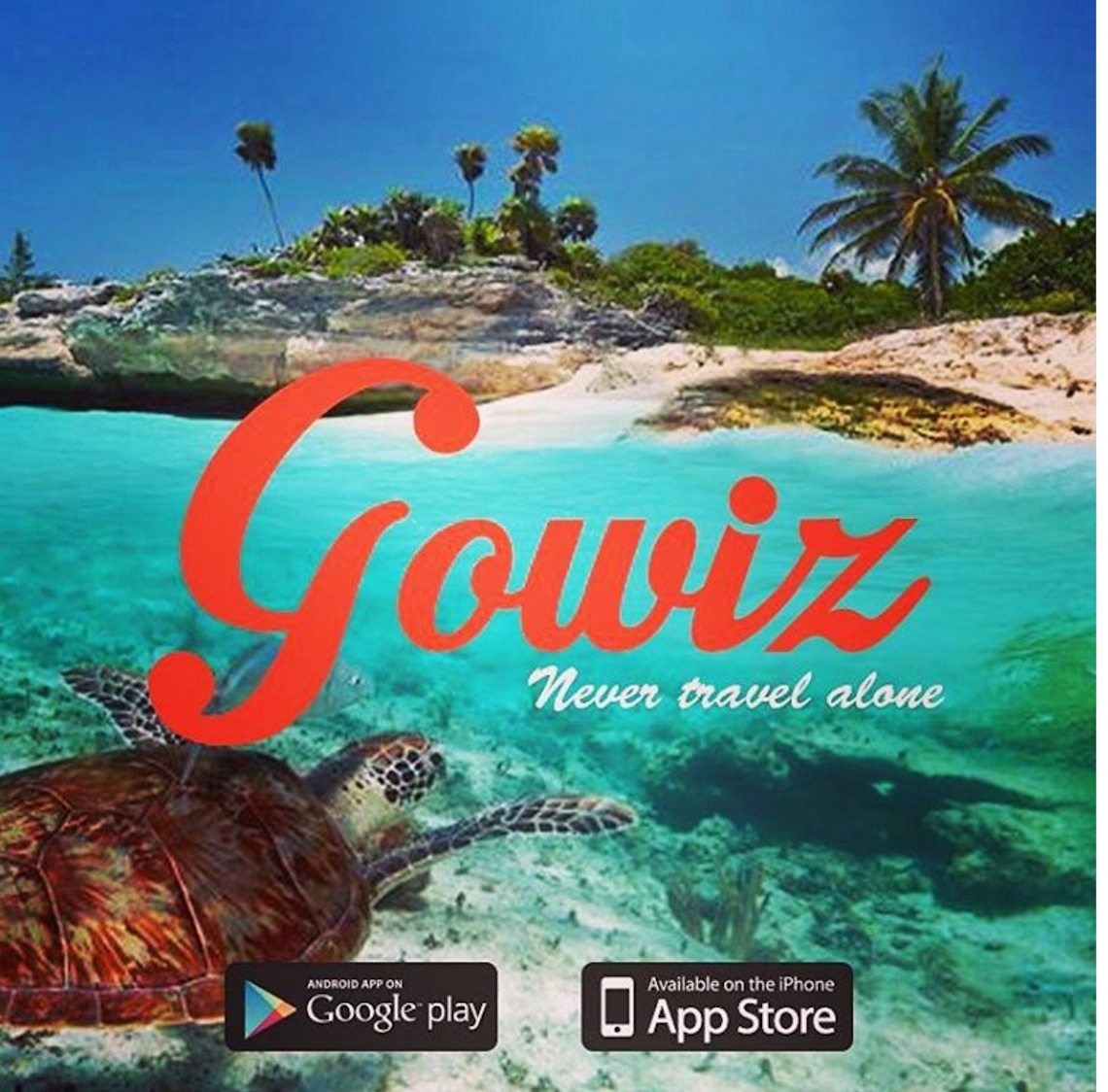 gowiz_application_voyage
