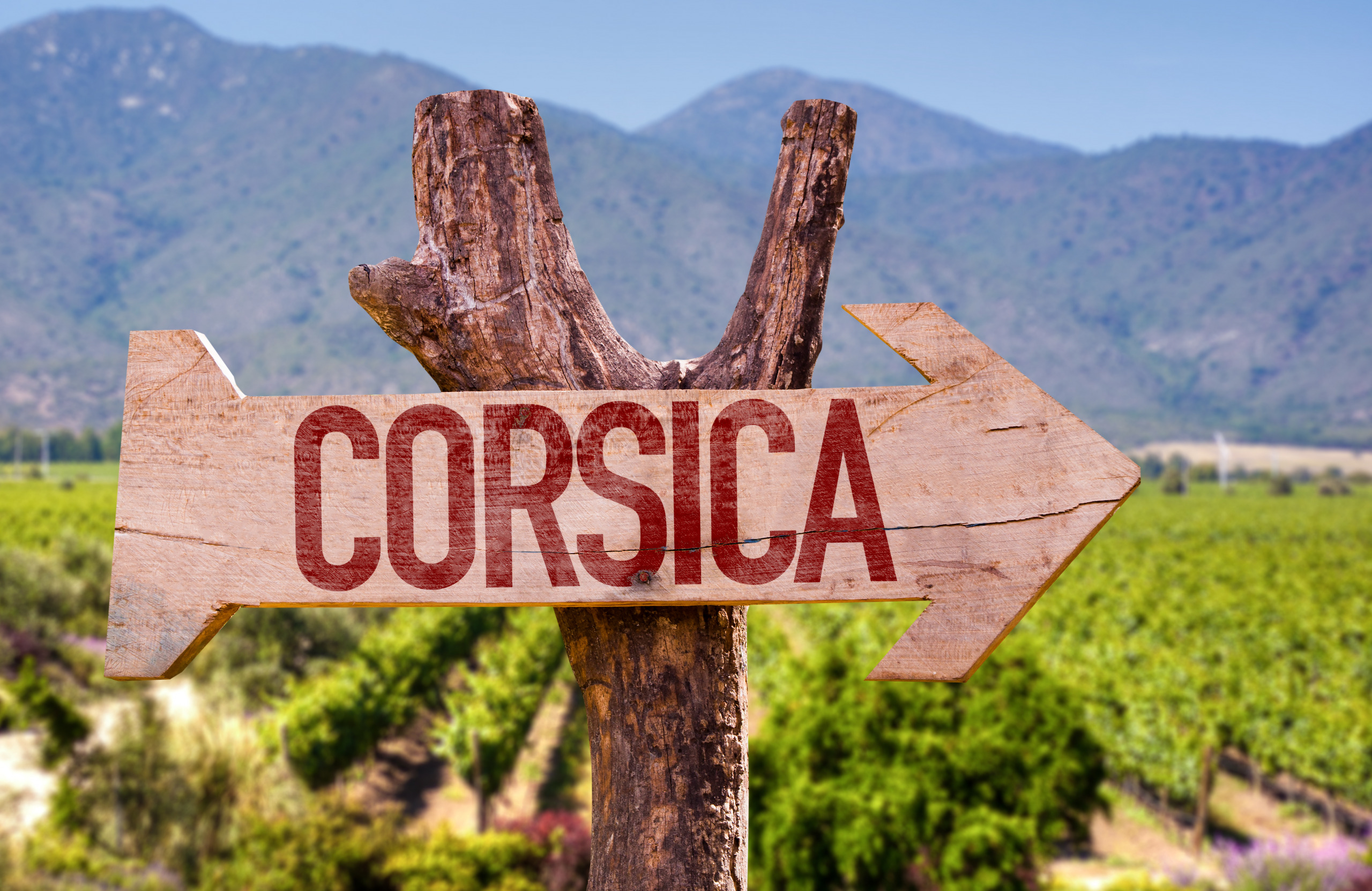 MICE : il y a la Corse aussi !