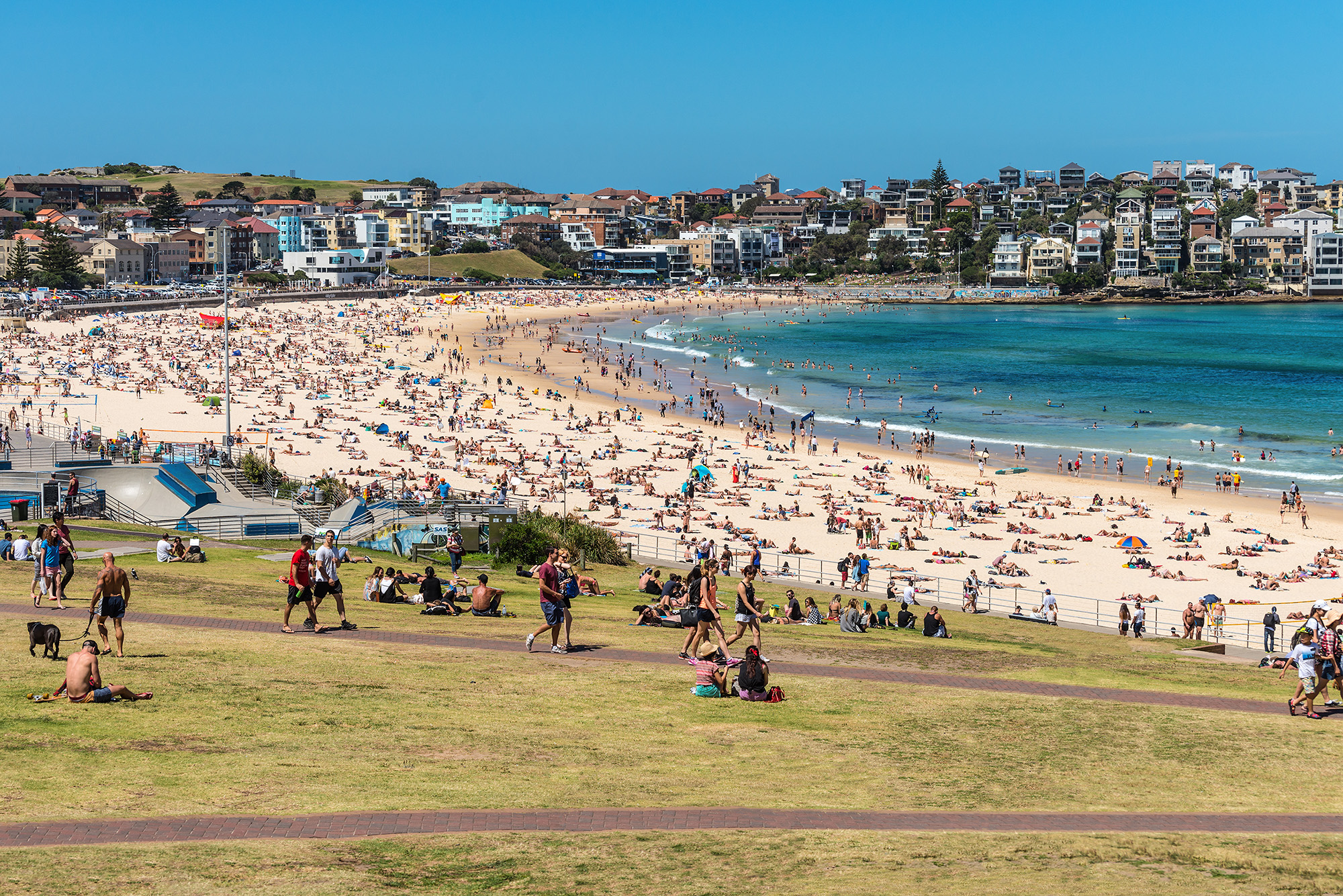 Alerte à la canicule en Australie Alerte à la canicule en Australie