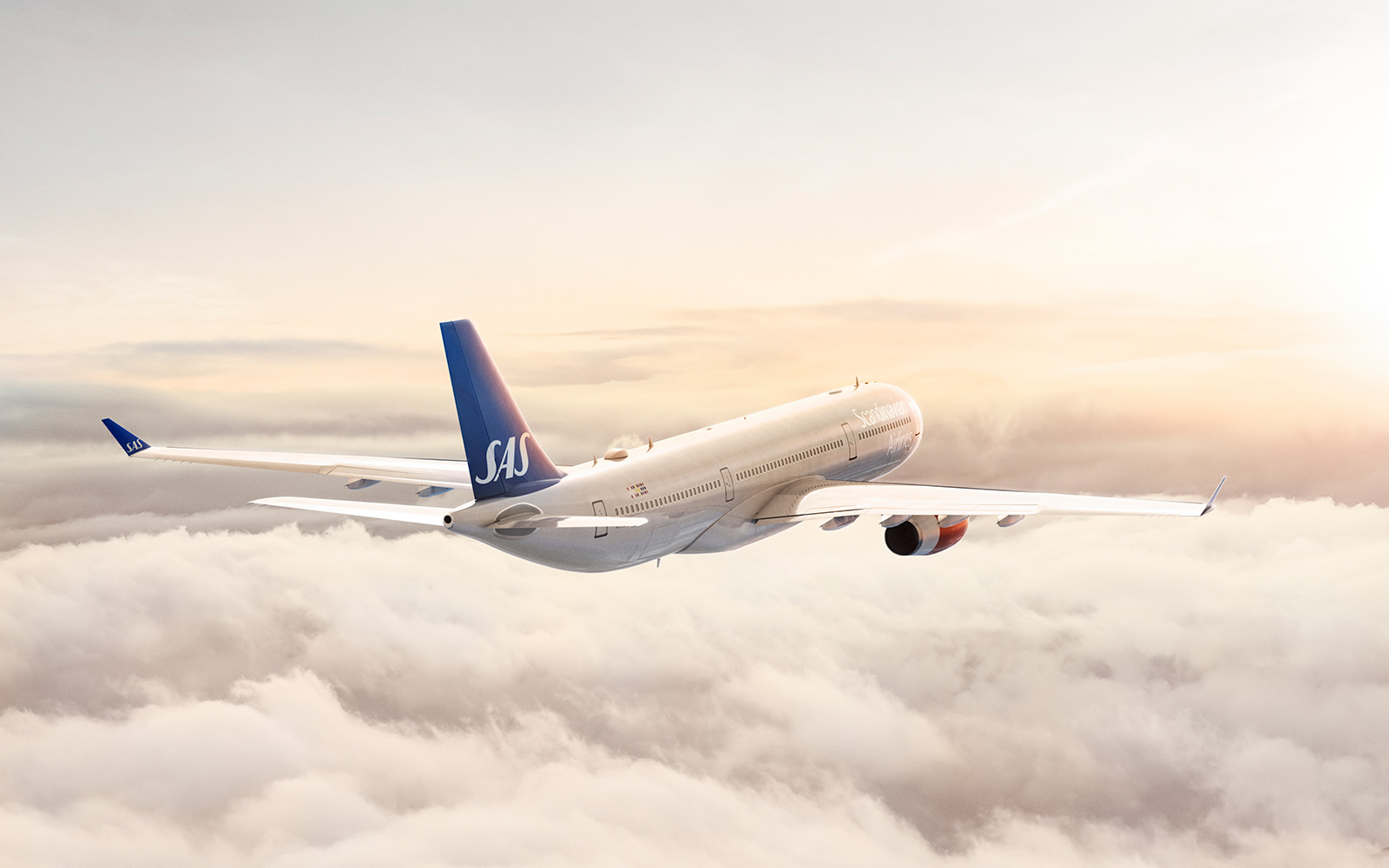 SAS: chiffre d'affaires en très forte baisse