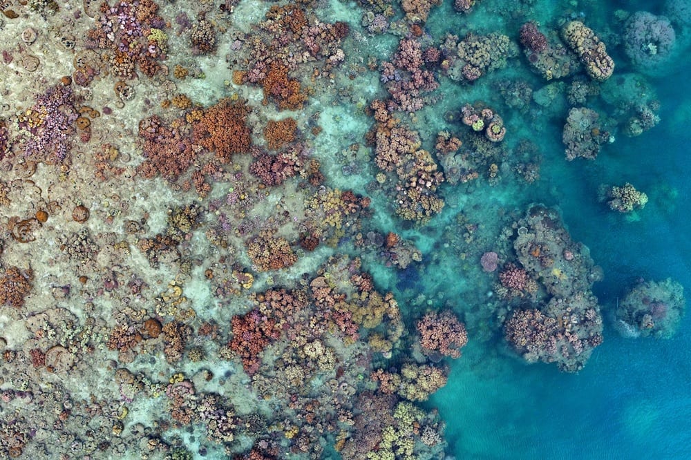Grande Barrière de Corail Australie