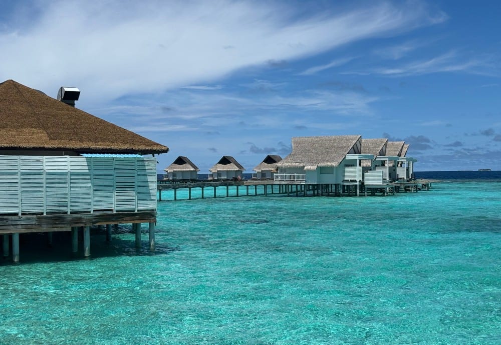 Machafushi ©David Savary